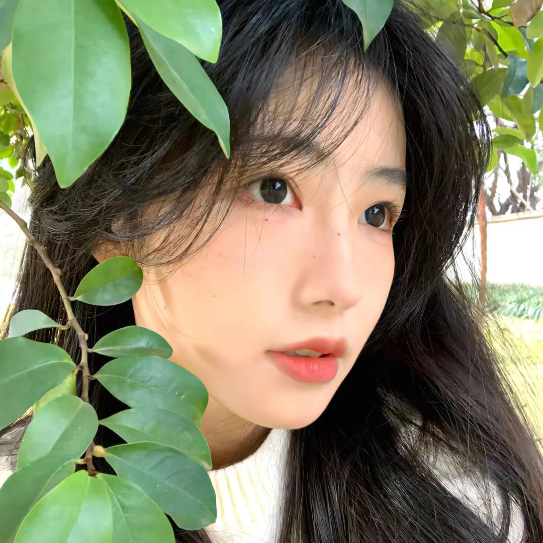 捕风追影